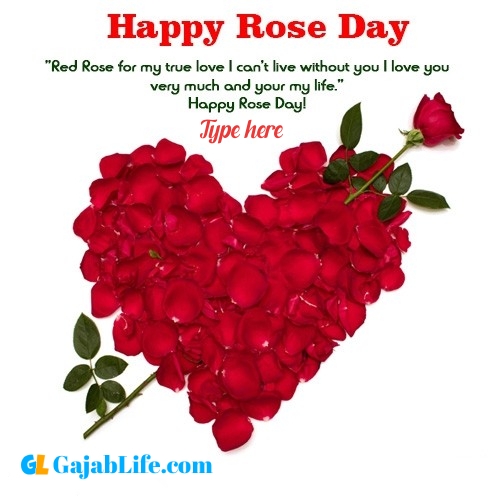 happy rose day shayari images, rose day wallpapers